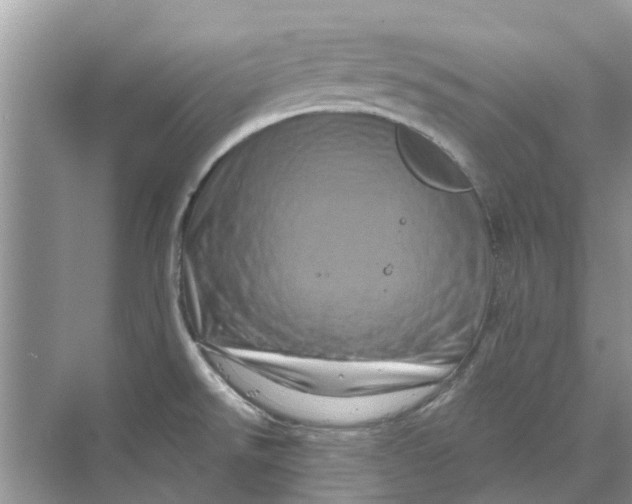 X0000069791526200606091730