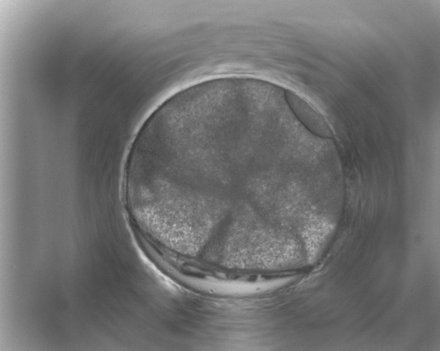 X0000069791527200606091730