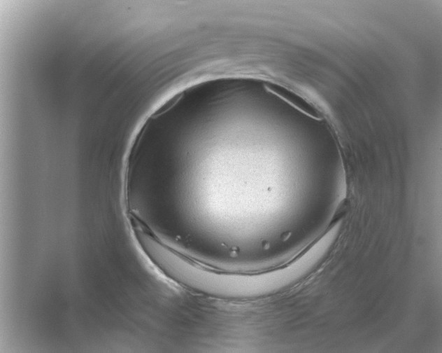 X0000069791528200606091730