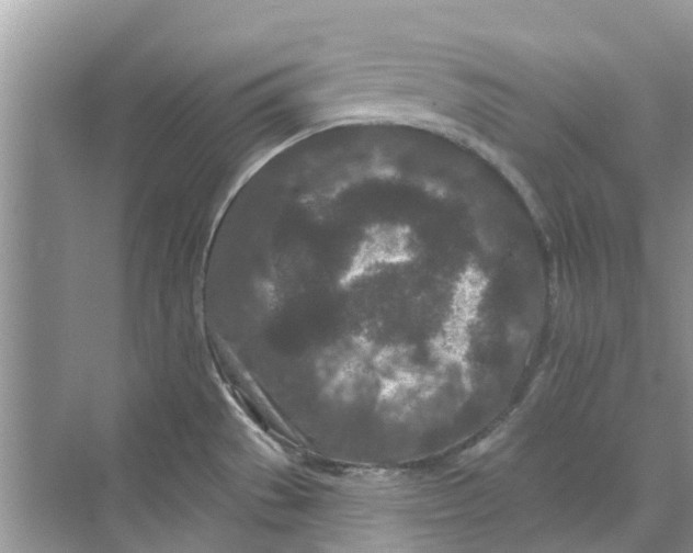 X0000069791529200606091730