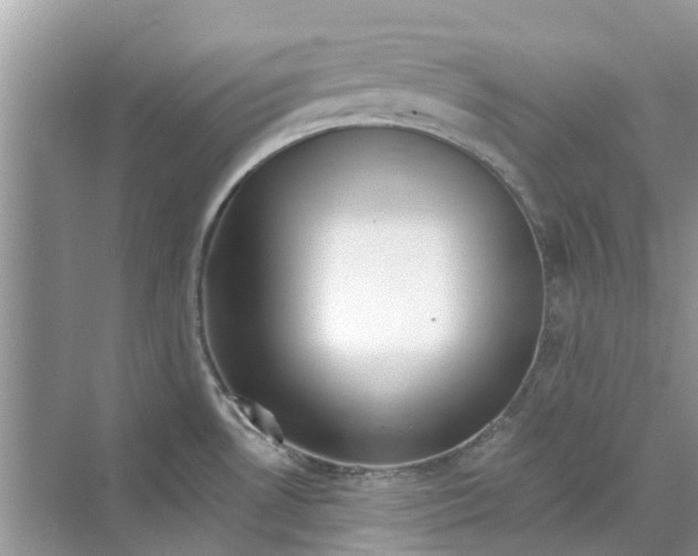 X0000069791530200606091730