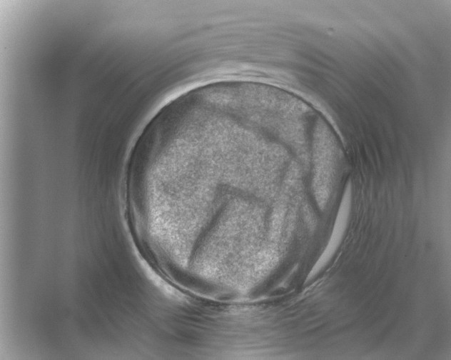 X0000069791531200606091730