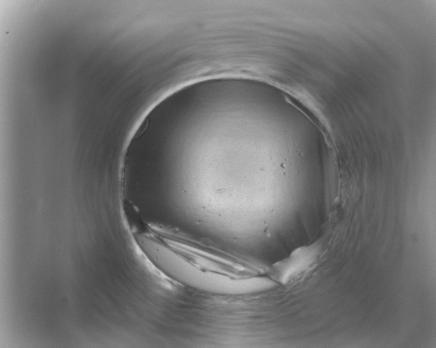 X0000069791532200606091730