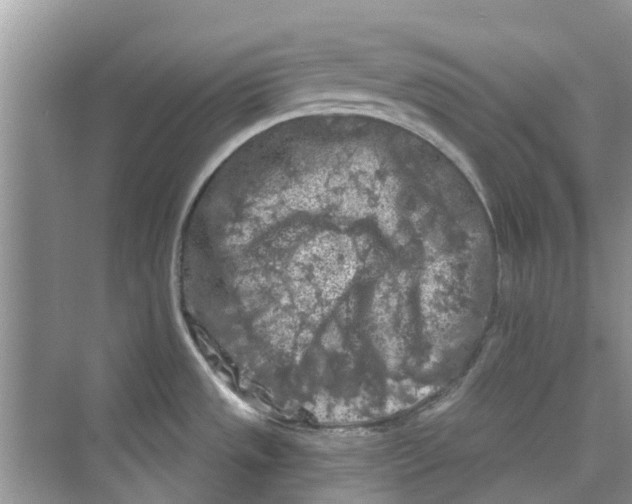 X0000069791533200606091730