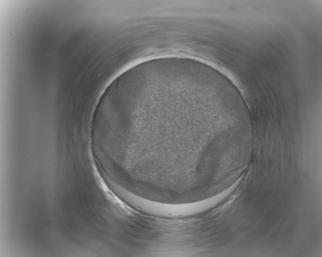 X0000069791534200606091730