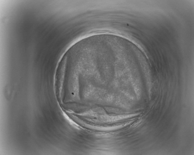 X0000069791535200606091730