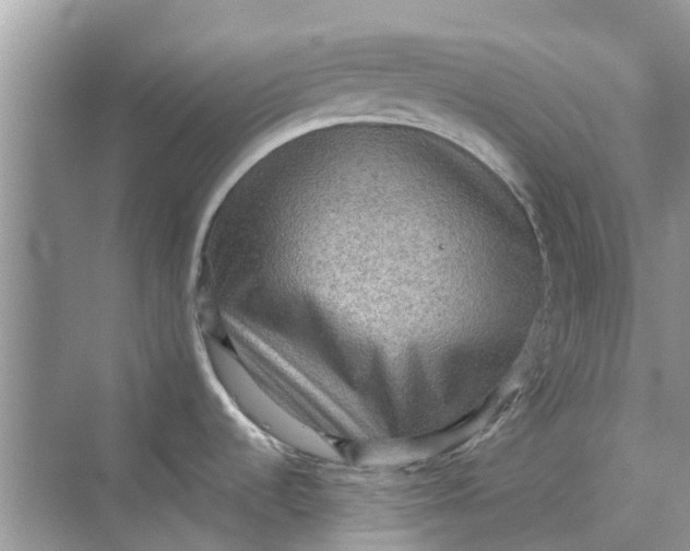 X0000069791536200606091730