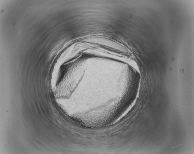 X0000069790002200606161810