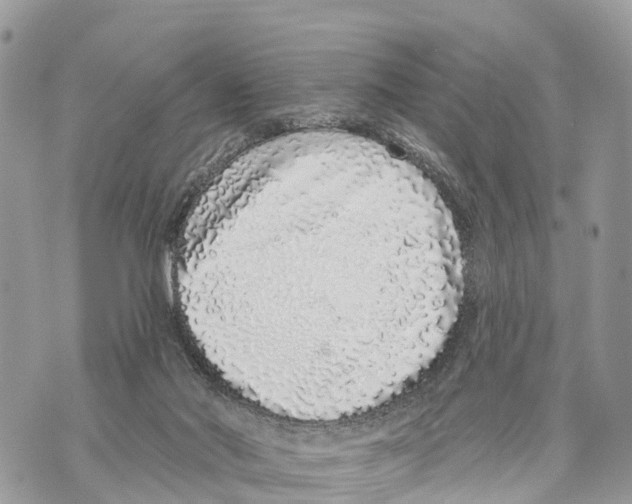 X0000069790022200606161810