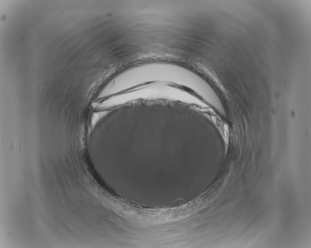 X0000069790023200606161809
