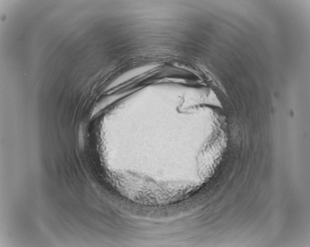 X0000069790026200606161809