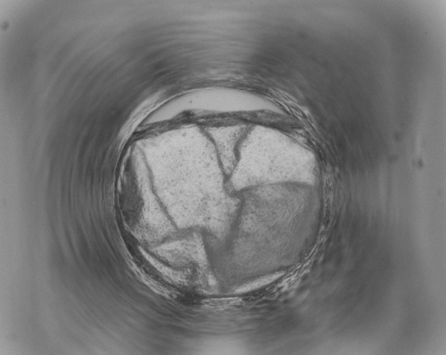 X0000069790051200606161808