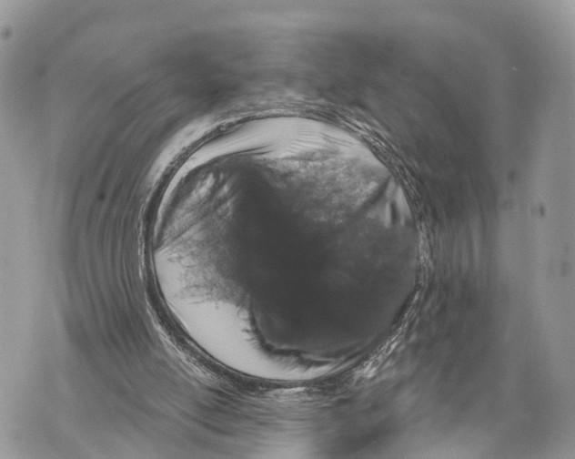 X0000069790054200606161808