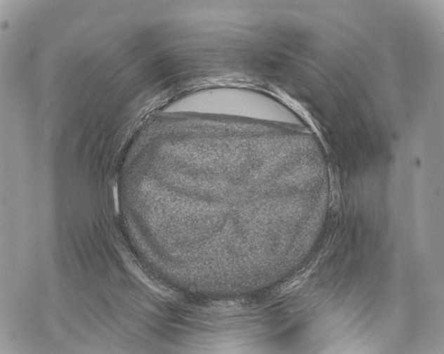 X0000069790061200606161808