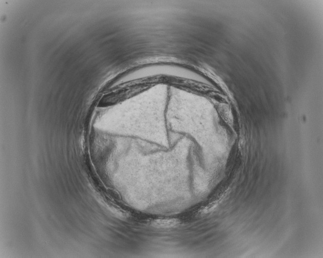 X0000069790063200606161808
