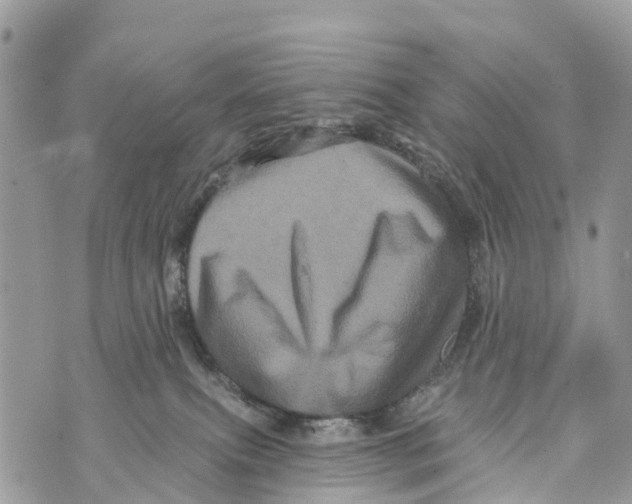 X0000069790087200606161809