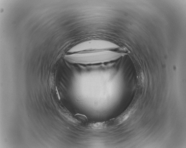 X0000069790092200606161809
