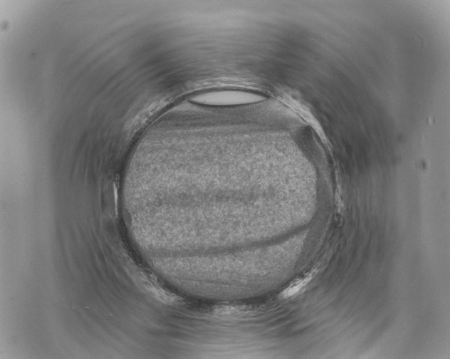X0000069790109200606161808