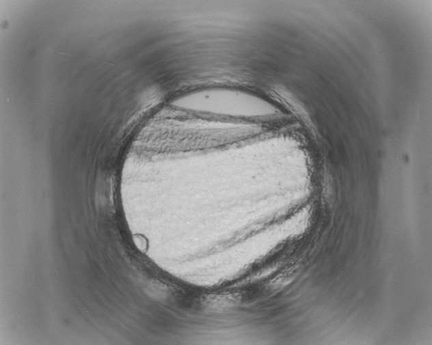 X0000069790115200606161808