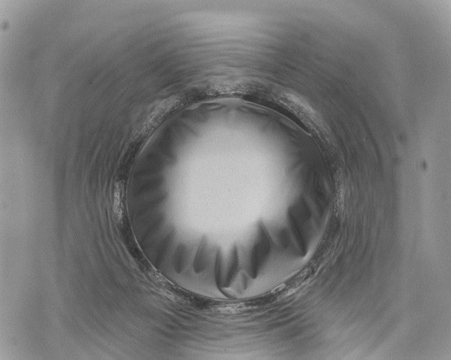 X0000069790121200606161808