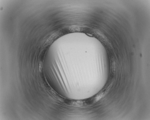 X0000069790125200606161808