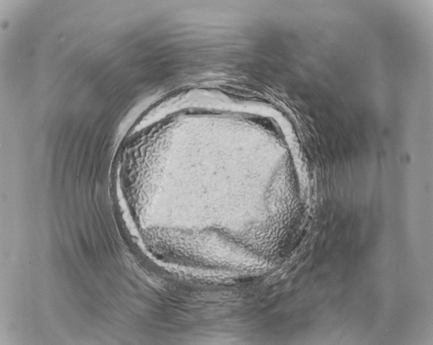 X0000069790147200606161807