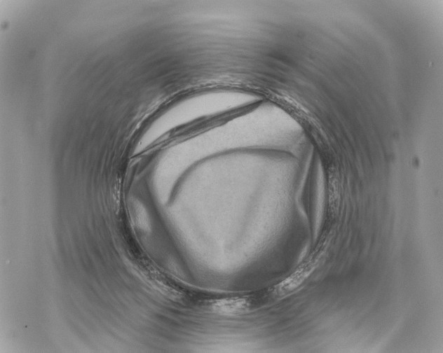 X0000069790168200606161807