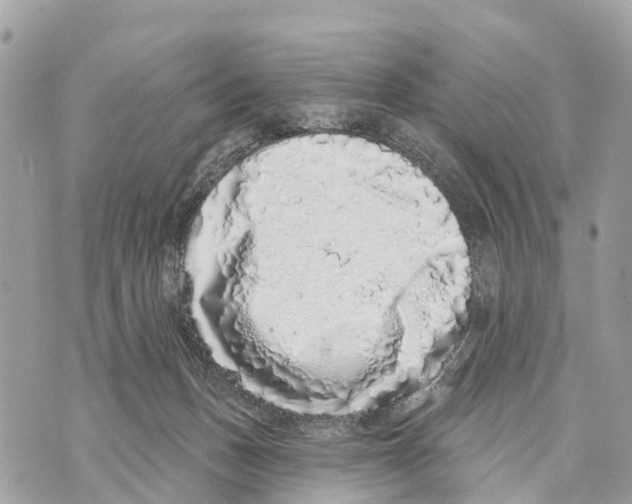 X0000069790175200606161807