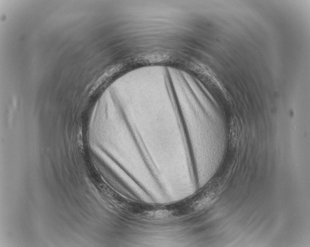 X0000069790212200606161806