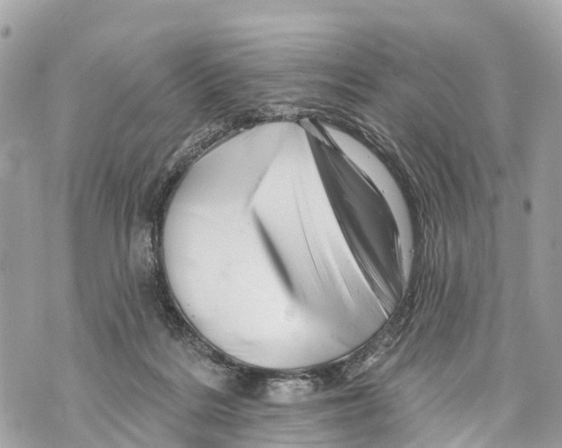 X0000069790220200606161806