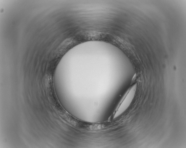 X0000069790225200606161806