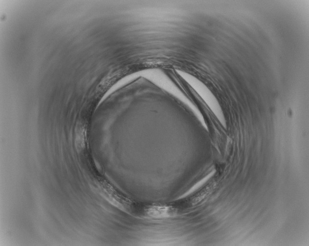 X0000069790227200606161806