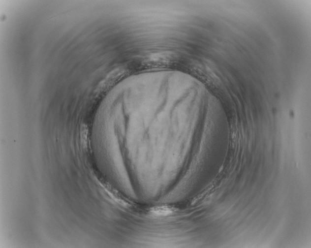 X0000069790231200606161806