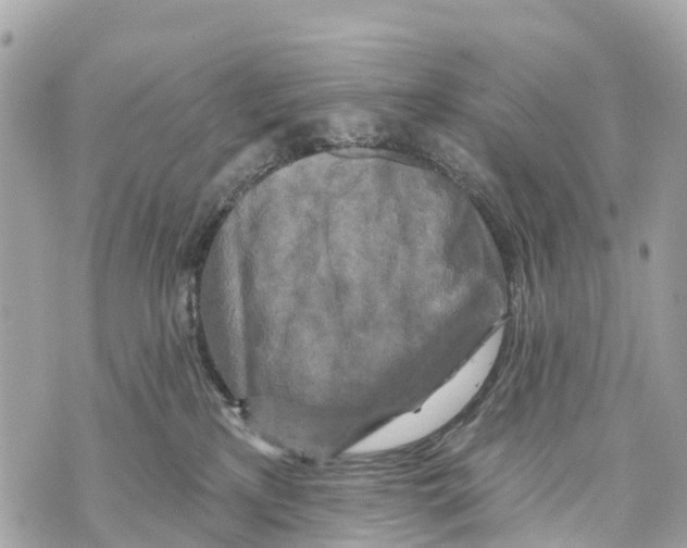 X0000069790233200606161806