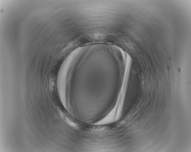 X0000069790235200606161806
