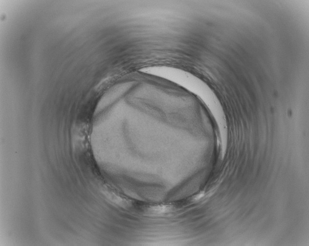 X0000069790237200606161806