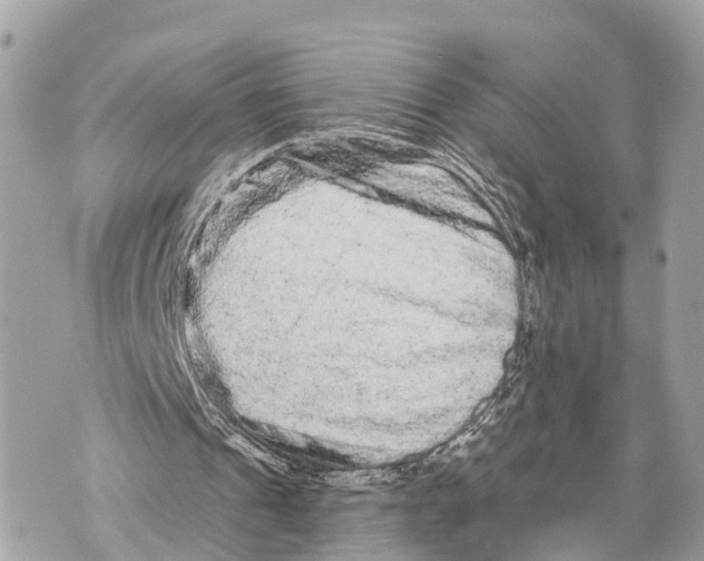 X0000069790241200606161805
