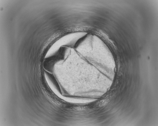 X0000069790250200606161805