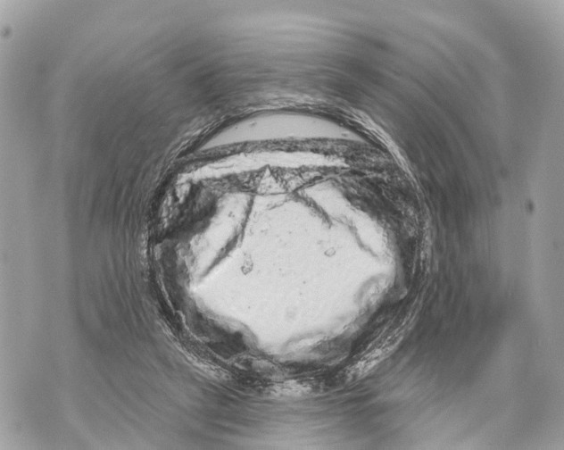 X0000069790257200606161805