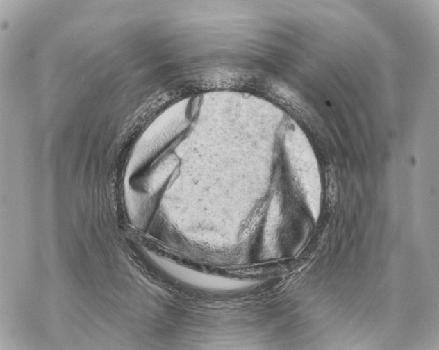 X0000069790258200606161805
