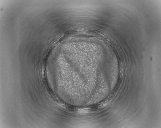 X0000069790268200606161806
