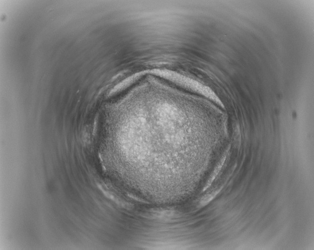 X0000069790284200606161806