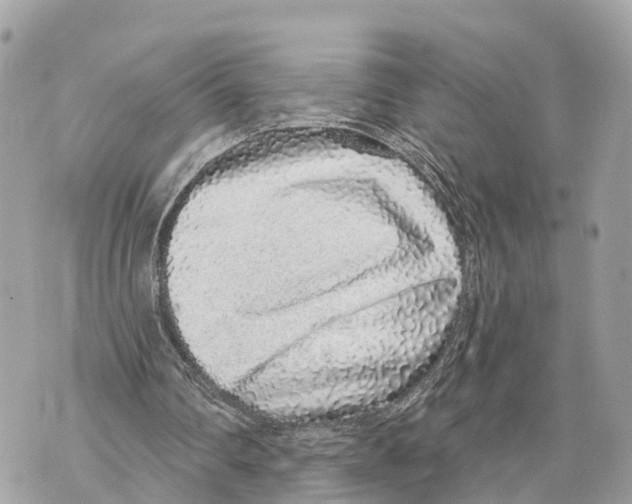X0000069790290200606161805