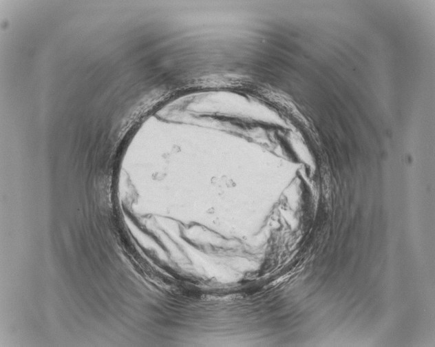 X0000069790299200606161805