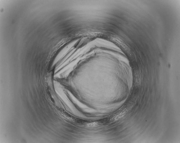 X0000069790309200606161805