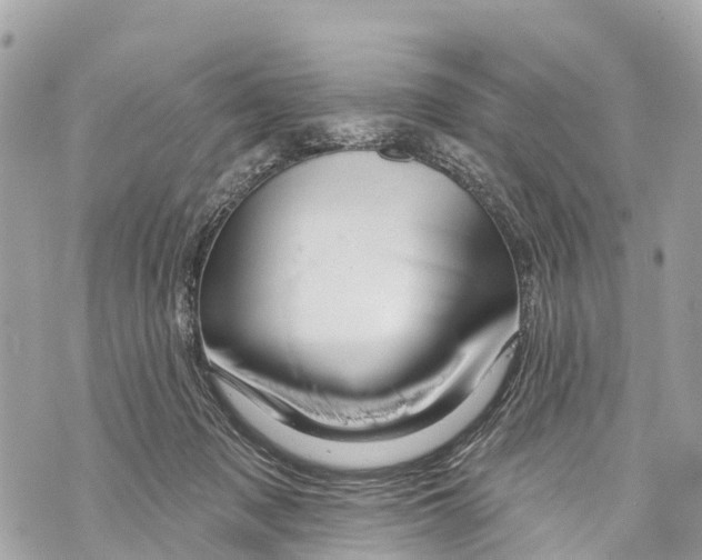 X0000069790317200606161805