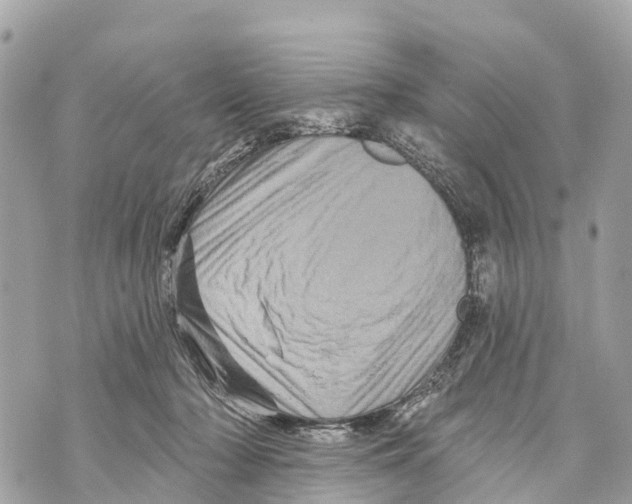 X0000069790318200606161805