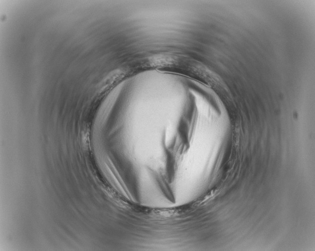 X0000069790329200606161804