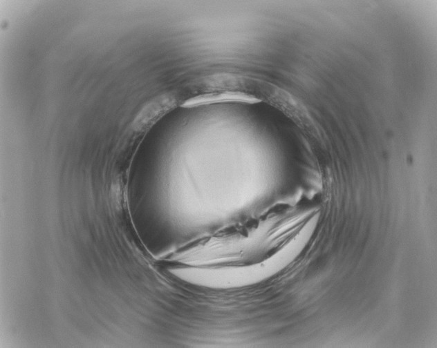 X0000069790333200606161804