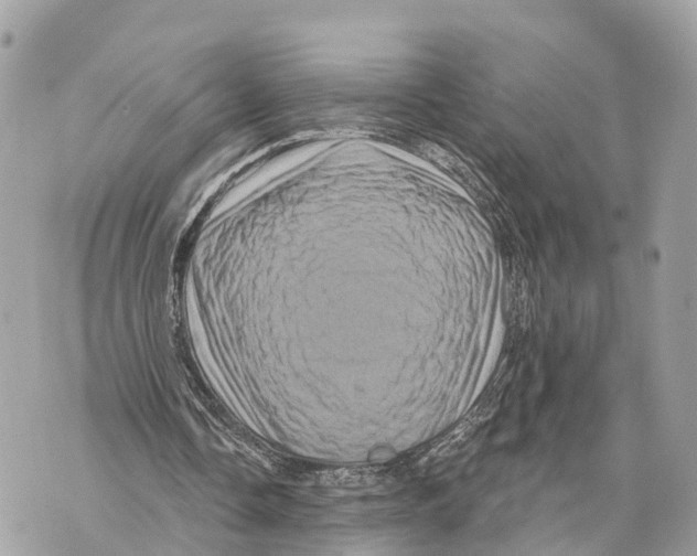X0000069790338200606161803